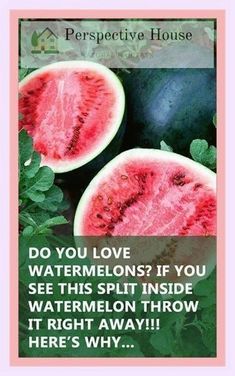 watermelon slices with the words, do you love watermelons if you see this split inside?