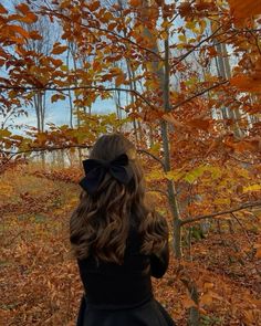 Autumn Instagram, Become A Photographer, Autumn Magic, Autumn Leaves Photography, Autumn Scenes, Fall Inspo, Fall Is Here