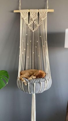 Cat Tree - No clue how to start looking for the correct solution for your needs? Search no further, check out Amazon for everything you need. Macrame Cat Bed, Hanging Cat Bed, Katt Diy, Katt Grejer, Kat Diy, Simpul Makrame, Pola Macrame, Cat House Diy, Crafts Room