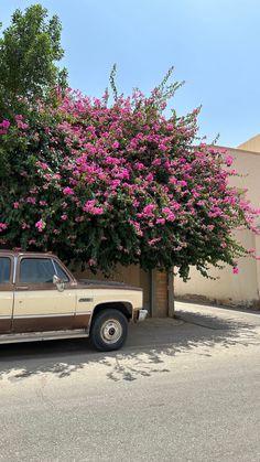 a truck parked in front of a tree with pink flowers