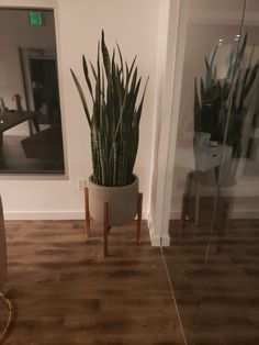 a large plant in a pot on a wooden floor next to a glass door and mirror