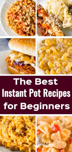 the best instant pot recipes for beginners