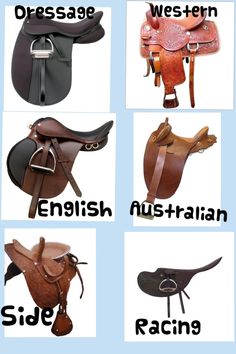 the different types of saddles and their names