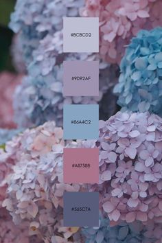 some blue and pink flowers with the names on them in different colors for each color