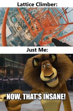 #madagascar #movie #lion #latticeclimbing #memesdaily