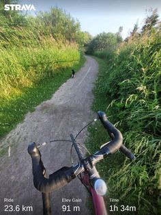 a bike is parked on the side of a dirt road next to tall grass and weeds