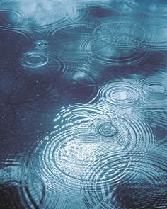 raindrops are seen in the water with ripples on it's surface