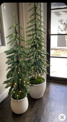 two potted christmas trees sitting on top of a wooden floor next to a window