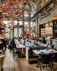 people sitting at tables in a restaurant with lots of windows and plants hanging from the ceiling