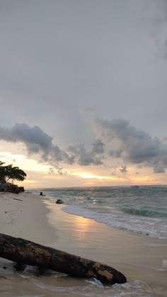 a log laying on top of a sandy beach next to the ocean under a cloudy sky