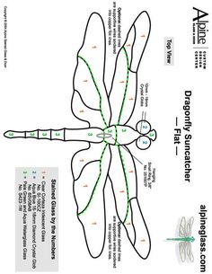 the diagram shows how to draw a dragonfly