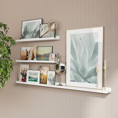 three white shelves with pictures and plants on them