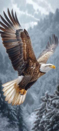 an eagle flying in the air with its wings spread