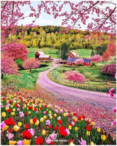 an image of a country road with flowers in the foreground and houses in the background