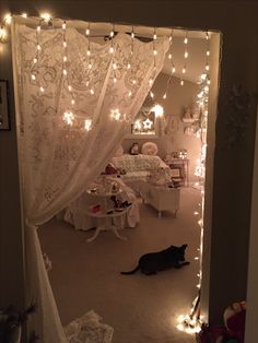 a black cat laying on the floor in front of a bed covered with white curtains