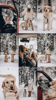 a collage of photos with dogs and people in the snow, including a car