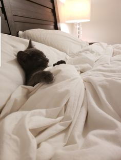 a cat laying on top of a bed covered in white sheets