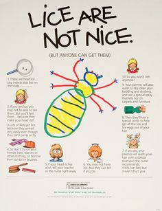 a poster with instructions on how to use lice