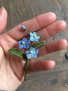 small blue flowers are being held in someone's hand