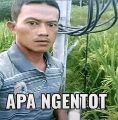 a man standing in front of a bunch of plants with the caption apa ingenitot