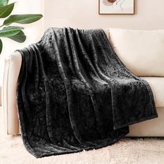 a couch with a black blanket on top of it next to a potted plant