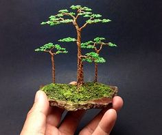 a hand holding a miniature tree on top of a rock