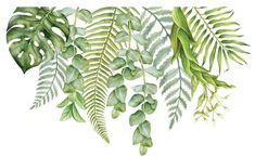 watercolor painting of green leaves and branches