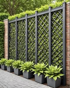 a row of planters sitting next to a brick wall