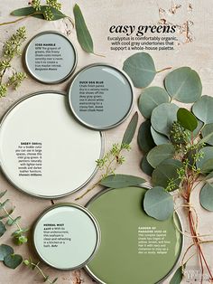 an image of some paint samples on a tabletop with the text, better homes and gardens painted palettes