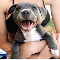 a woman holding a dog with its mouth open and it's tongue hanging out