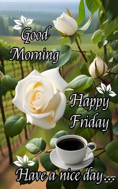 a cup of coffee sitting on top of a table next to a white rose with the words good morning happy friday have a nice day