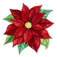 a red poinsettia with green leaves on it