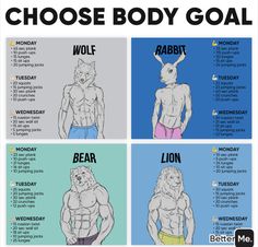 the body chart shows how to gain muscle