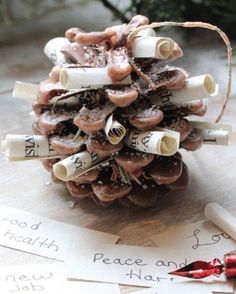 a pine cone with some writing on it