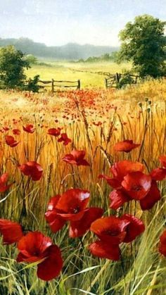 an oil painting of red poppies in a wheat field with a fence and trees