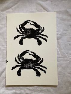 two black crabs on white paper sitting next to each other