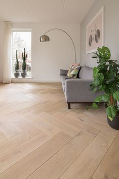 a living room with wood flooring and potted plants on the side of the couch