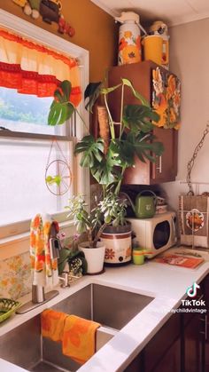 the kitchen sink is full of dishes and plants