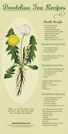 the dandelion tea recipe