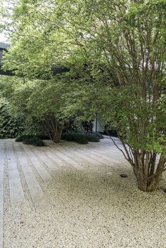 a small tree sitting in the middle of a garden next to a walkway and trees