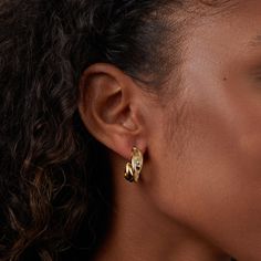 Indulge in a beautiful pair of classic hoops that will never go out of style. These hoops are a unique twist on the classic gold hoop & will go with any style or outfit! 18K gold plated Lightweight Size: 0.8in x 0.8in Pushback stud closure Hypoallergenic, lead & nickel free If you aren't in LOVE with your purchase, please let us know within 30 days of receiving your item, and you'll receive a stress-free refund. Twist Hoop Earrings, Animal Habitats, Bubble Bag, Black Gift Boxes, Halloween Sale, Classic Gold, Gold Hoop, High Quality Jewelry, Ladies Day