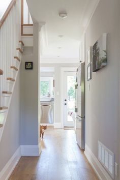 a dog is walking down the hallway in front of stairs and a door with pictures on it