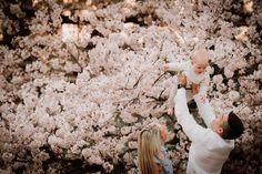 a man holding a baby up in the air while standing next to a tree with pink flowers