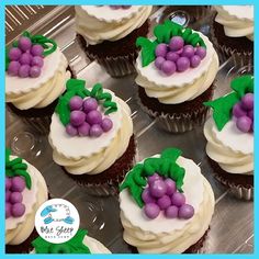 cupcakes with white frosting and purple grapes on them