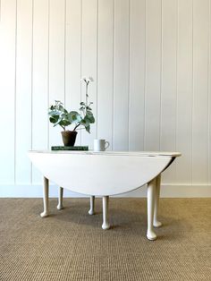 a white coffee table with two plants on top