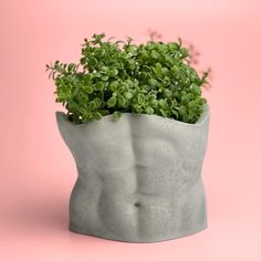 a potted plant in the shape of a human torso, on a pink background