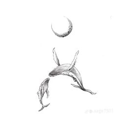 a drawing of two dolphins jumping in the air with a half moon behind them and one dolphin leaping out of the water