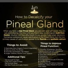 Pineal Gland Facts, God Family Country, Open Your Third Eye, Eye Facts, Wood Jewelery, Brain Facts, Chakra Alignment, Food And Restaurant, Sixth Sense