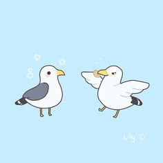 two seagulls standing next to each other on a blue background with words written in arabic