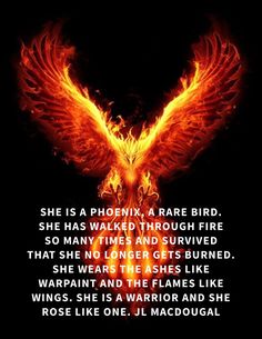 a fire bird with the words she is a phoenix, rare bird she has walked through fire